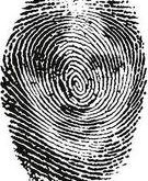 fingerprint 1.jpg - 11.90 Kb